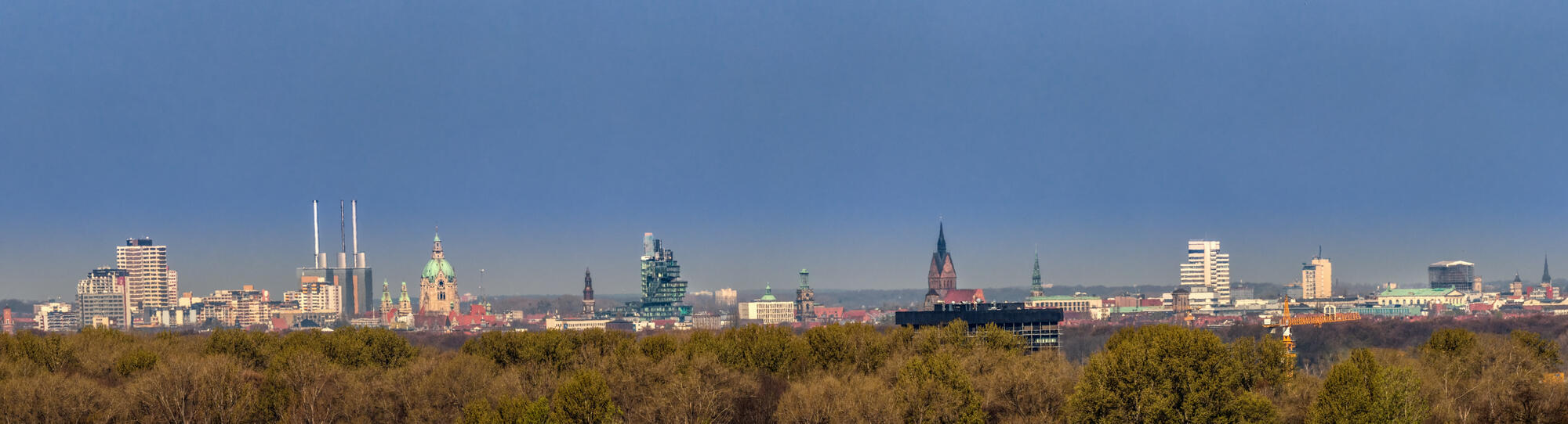 Skyline von Hannover über den Baumkronen eines Waldes mit Rathaus und Marktkirche