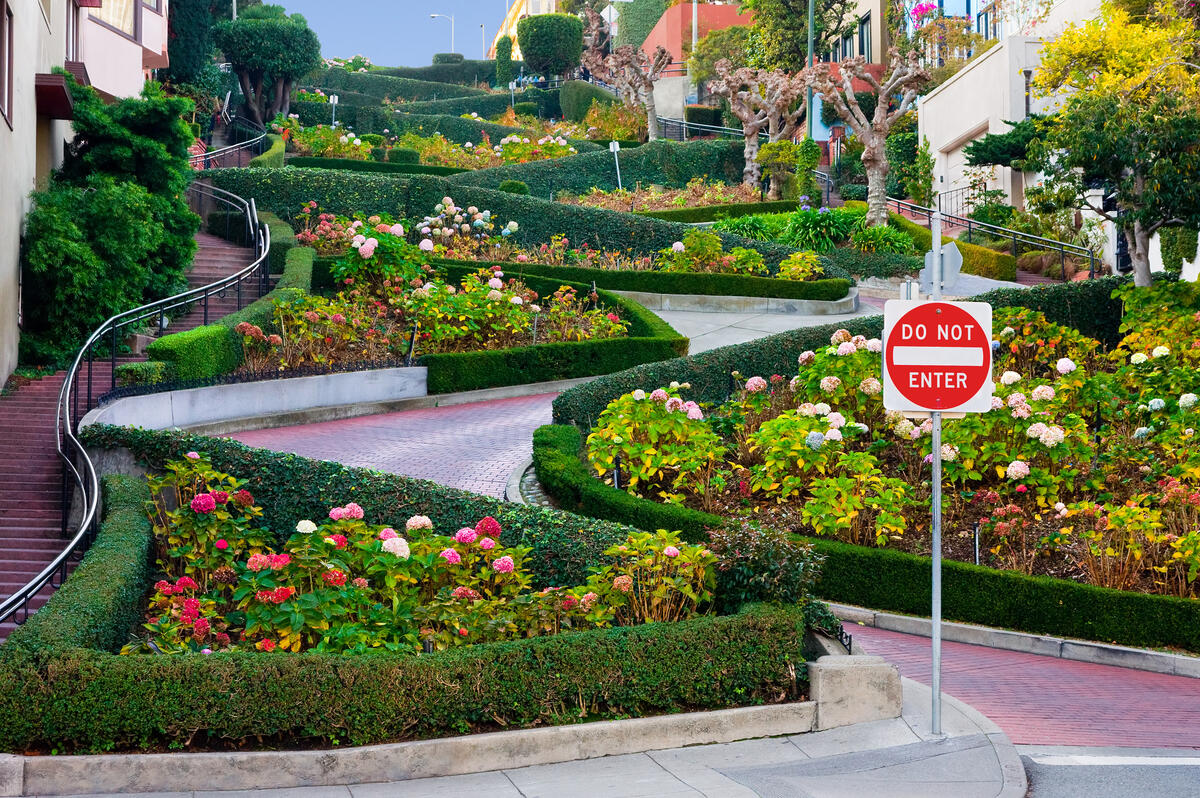Die roten Pflasterkurven der Lombard Street führen zwischen Hecken, Blumenbeeten und Wohnhäusern bergauf.