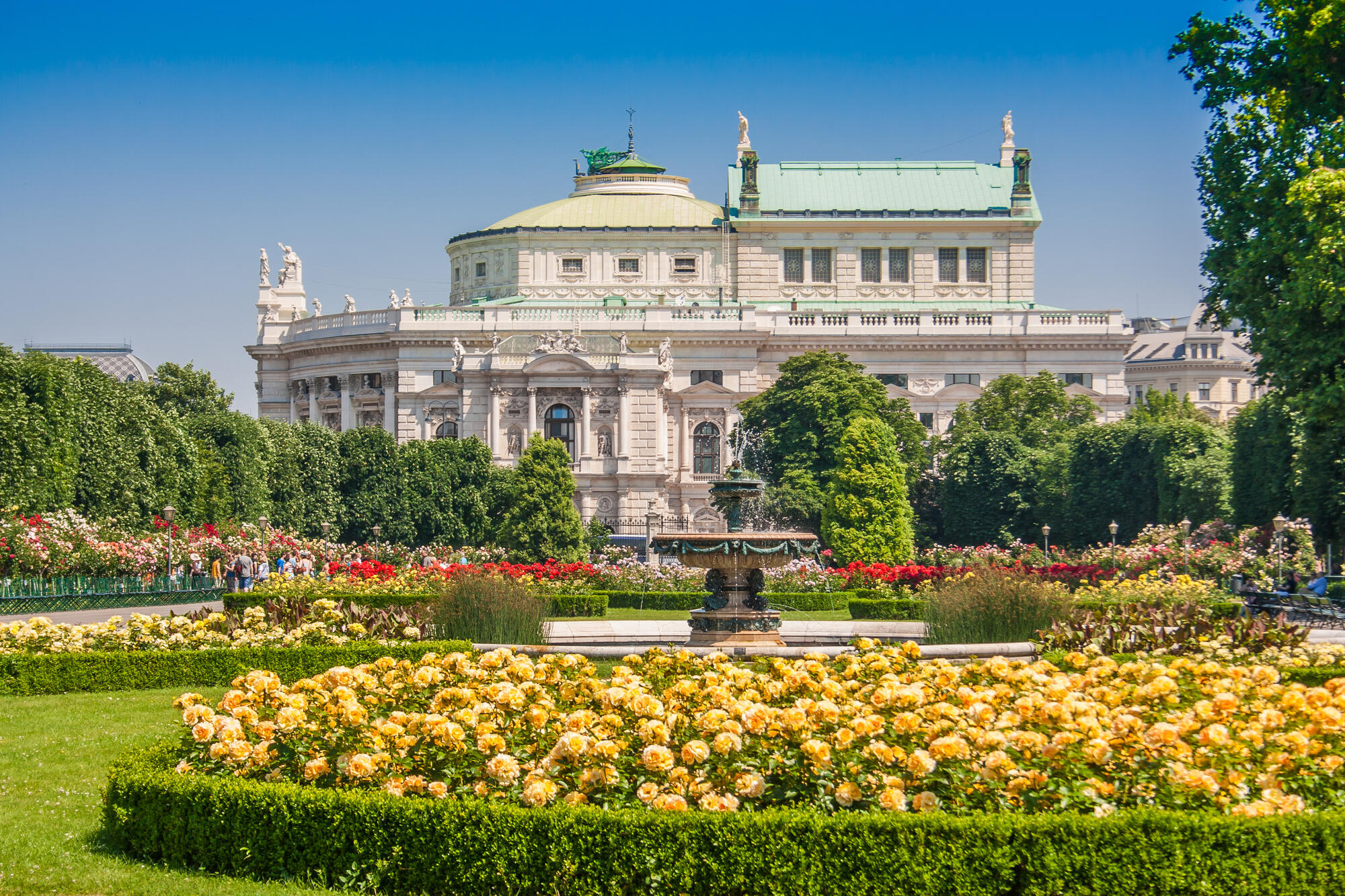Rosenbeete und Brunnen im Wiener Volksgarten, dahinter das Burgtheater.